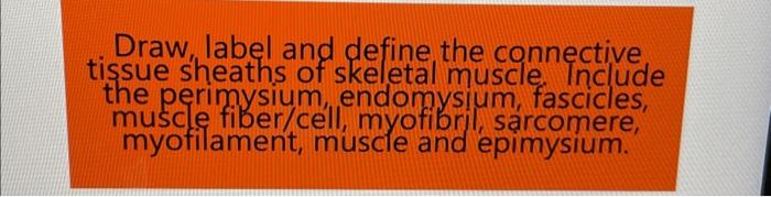 Solved Draw, label and define the connective tissue sheaths | Chegg.com