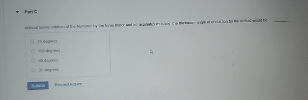 Solved Part CWenout lateral rotation of the humerus by the | Chegg.com