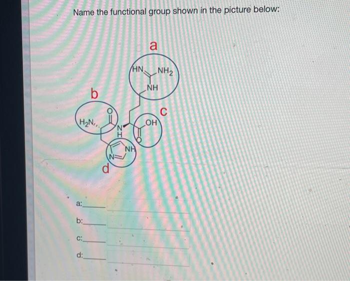 Solved Name the functional group shown in the picture below: | Chegg.com