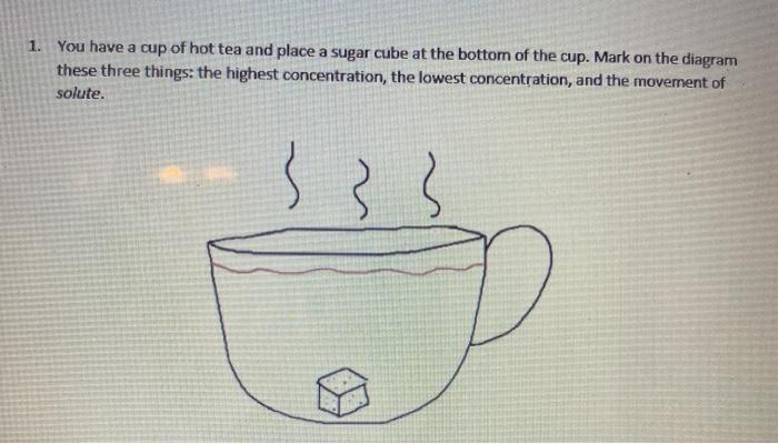 Solved 1 You Have A Cup Of Hot Tea And Place A Sugar Cube Chegg Com