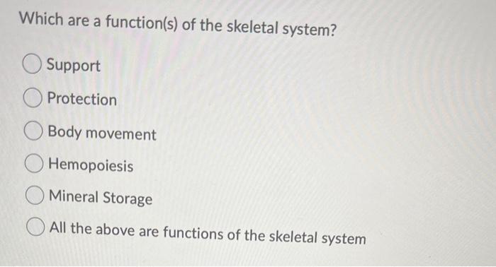functions of the skeletal system include protection support and body movement