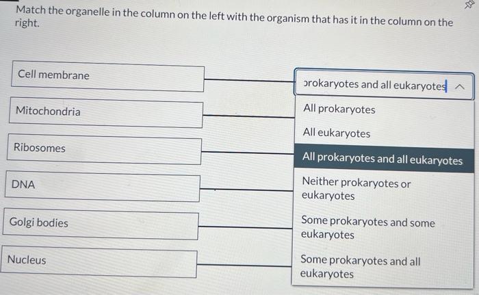 Solved help match them ! | Chegg.com