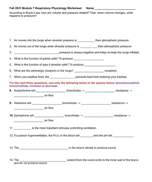 Solved Name Fall 2021 Module 7 Respiratory Physiology | Chegg.com