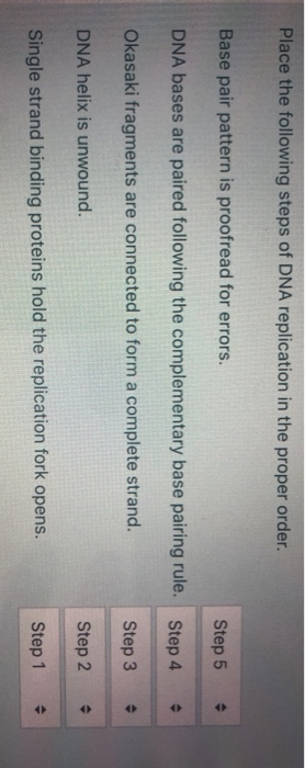 Solved Place the following steps of DNA replication in the | Chegg.com