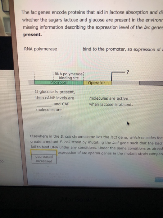 Solved Aa Aa 2. Regulation of prokaryotic gene expression | Chegg.com