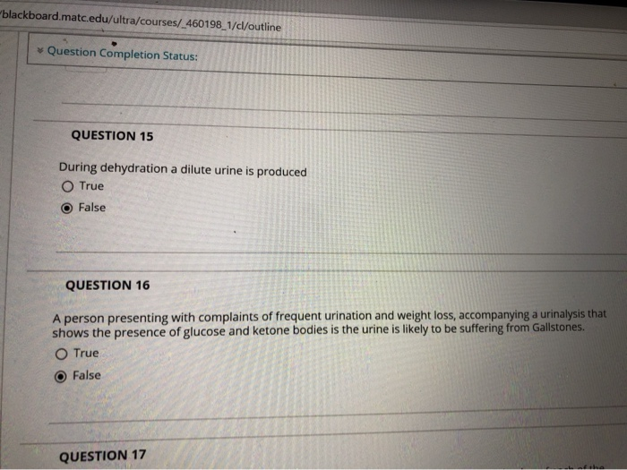 Solved blackboard.matc.edu/ultra/courses/ 460198