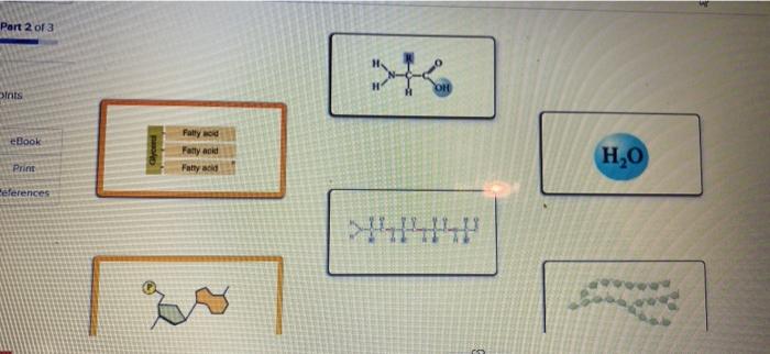 Solved Match each description with the correct level of | Chegg.com