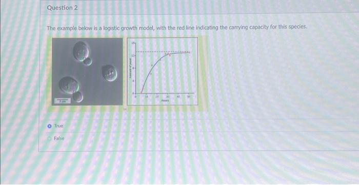 The example below is a logistic growth model, with | Chegg.com