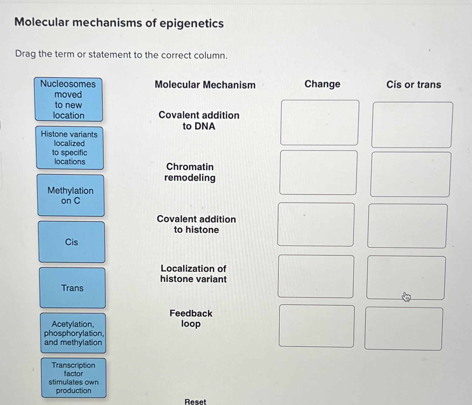 Solved Molecular mechanisms of epigeneticsDrag the term or | Chegg.com