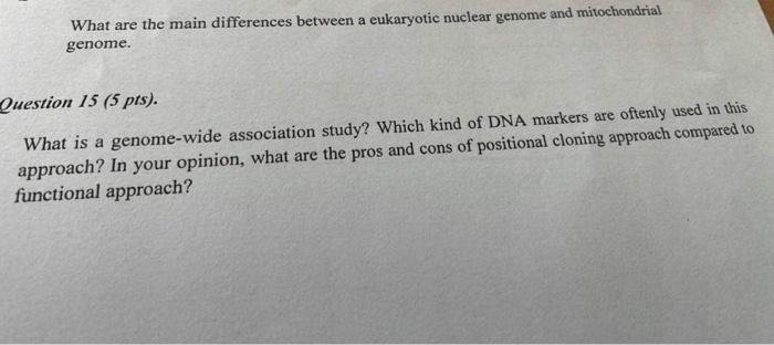 Solved What are the main differences between a eukaryotic | Chegg.com