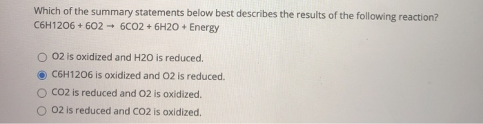 Solved Which Of The Summary Statements Below Best Describes | Chegg.com