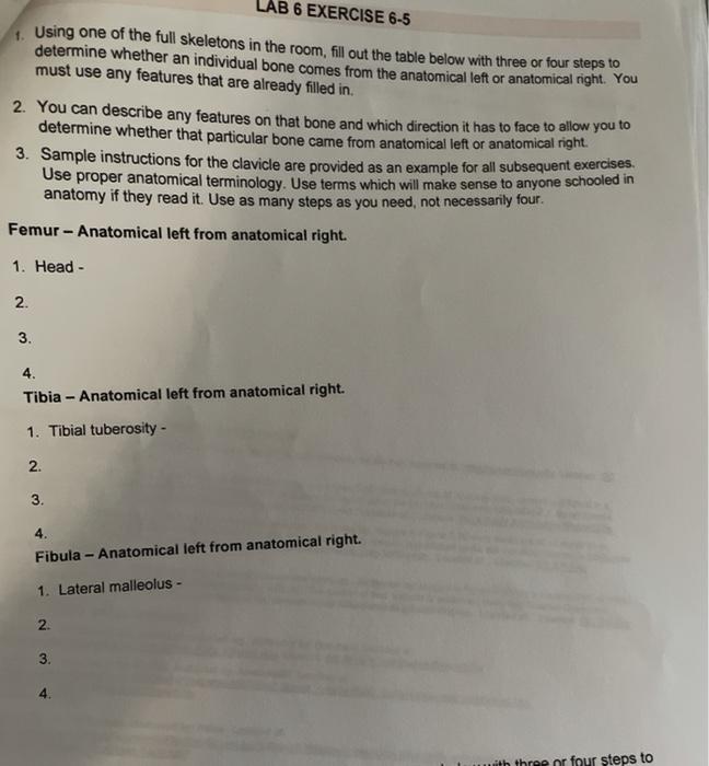 Solved Lab 6 Exercise 6 5 1 Using One Of The Full Skelet Chegg Com