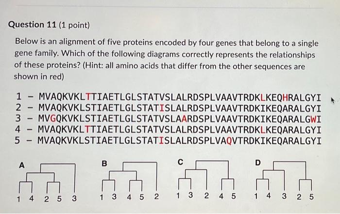 Solved Below is an alignment of five proteins encoded by | Chegg.com