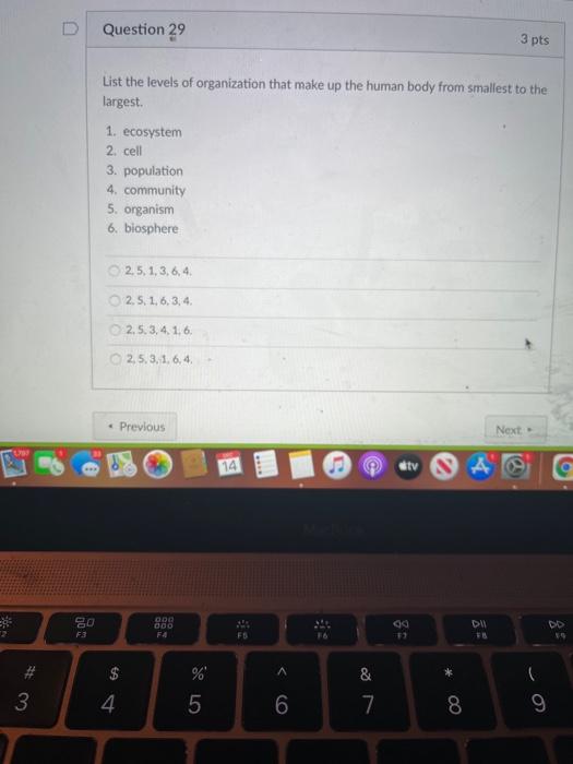 Solved D Question 29 3 pts List the levels of organization | Chegg.com