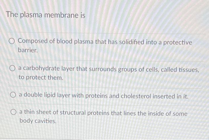 Solved The plasma membrane is Composed of blood plasma that | Chegg.com