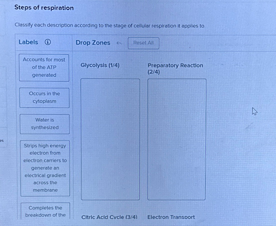 solved-steps-of-respirationclassify-each-description-chegg