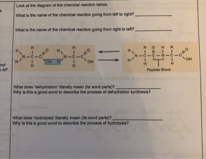 solved-look-at-the-diagram-of-the-chemical-reaction-below-chegg