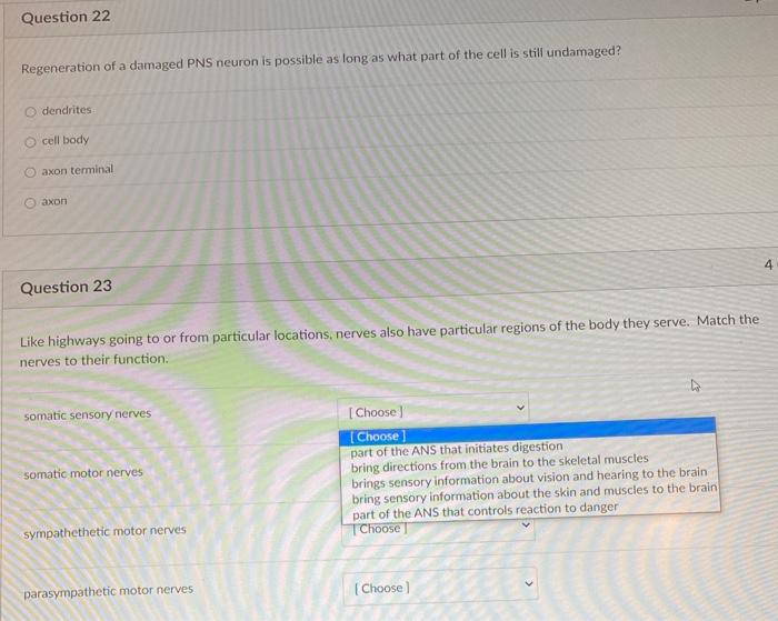 Solved Question 22 Regeneration of a damaged PNS neuron is | Chegg.com