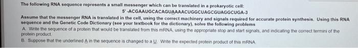Solved The following RNA sequence represents a small | Chegg.com