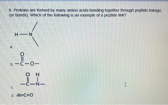 Solved 6. Proteins are formed by many amino acids bonding | Chegg.com