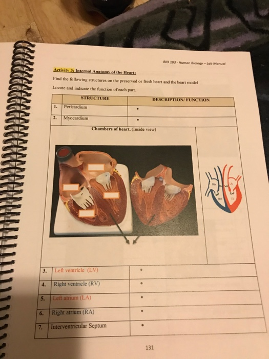 Solved BIO 103 Human Biology Lab Manual Lab 11