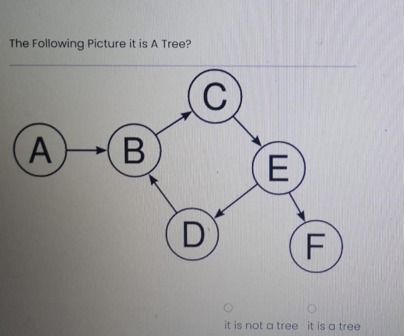 Solved The Following Picture it is A Tree? С A B E D F it is | Chegg.com