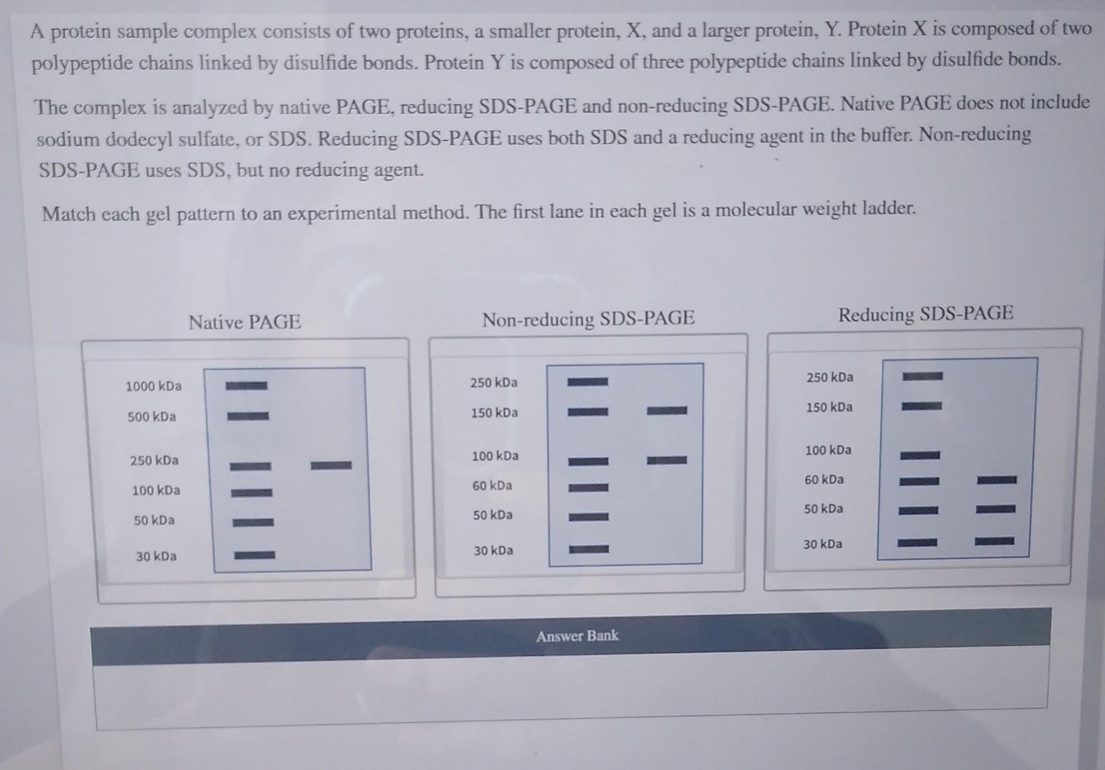 Solved A protein sample complex consists of two proteins, a | Chegg.com