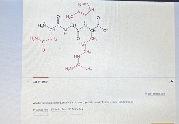 Solved What is the amino acid sequence of the pictured | Chegg.com