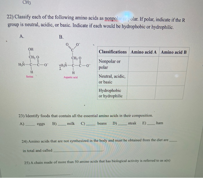 Solved CH3 22) Classify each of the following amino acids as | Chegg.com