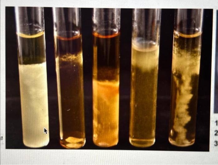 Solved record each oxygen growth example: aerobe, anaerobe, | Chegg.com