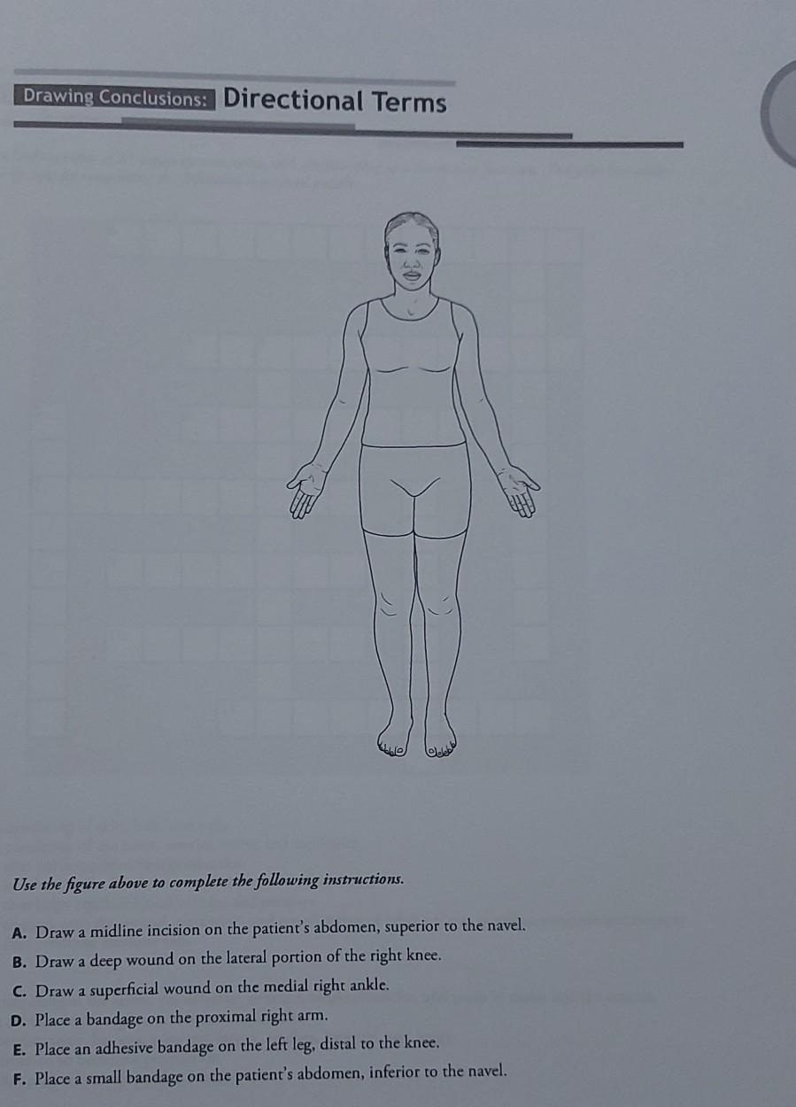 Solved Use the figure above to complete the following | Chegg.com