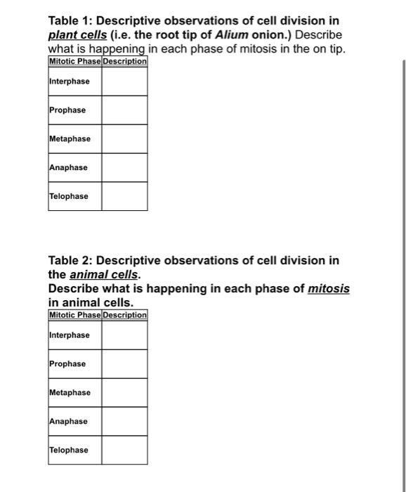 Solved Figure 1: Illustrations of mitotic (asexual) cell 