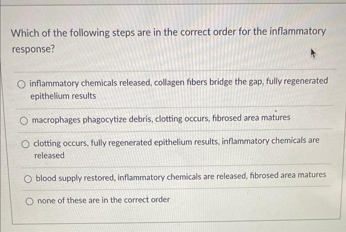 Solved Which of the following steps are in the correct order | Chegg.com