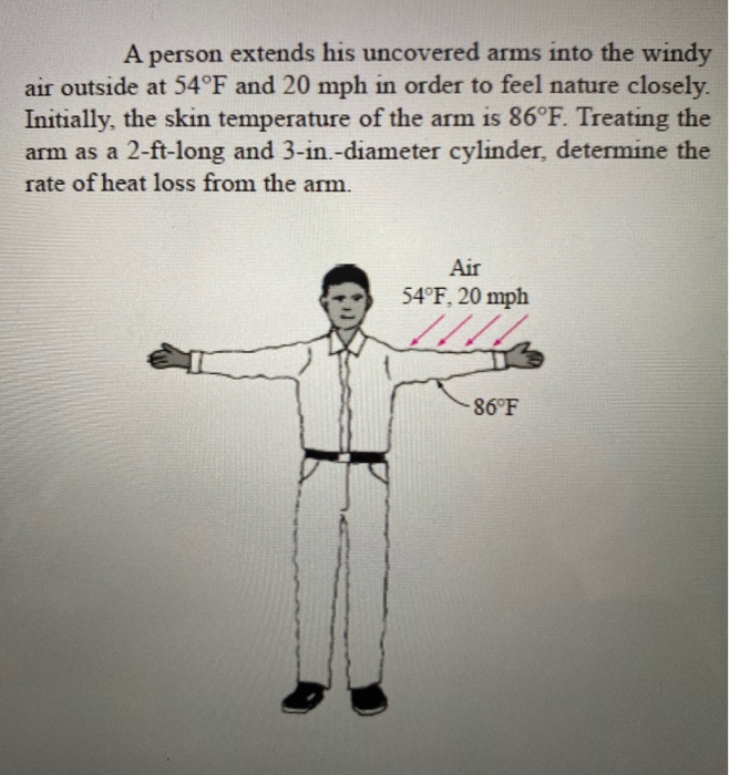 Solved A Person Extends His Uncovered Arms Into The Windy | Chegg.com