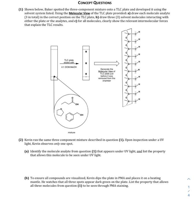 solved-concept-questions-1-shown-below-baker-spotted-the-chegg