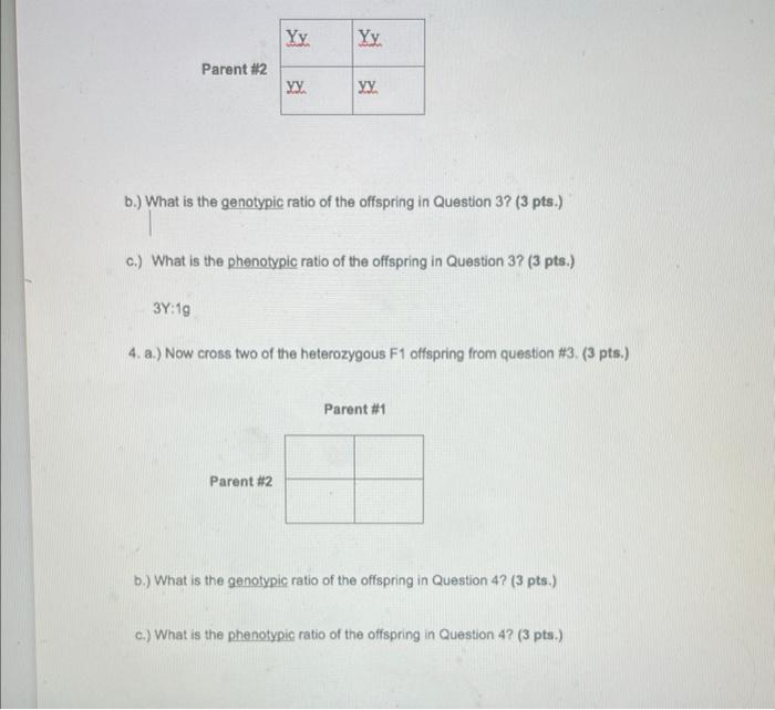 b.) What is the genotypic ratio of the offspring in