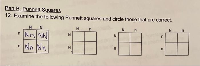 [Solved]: Please Help Part B: Punnett Squares 12. Examine Th