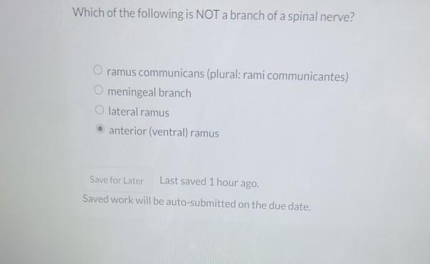 Solved Which Structure Of The Neuron Is Included In The Chegg