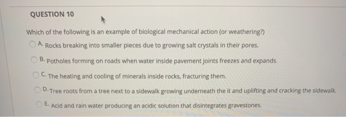 Solved Question 10 Which Of The Following Is An Example O Chegg Com