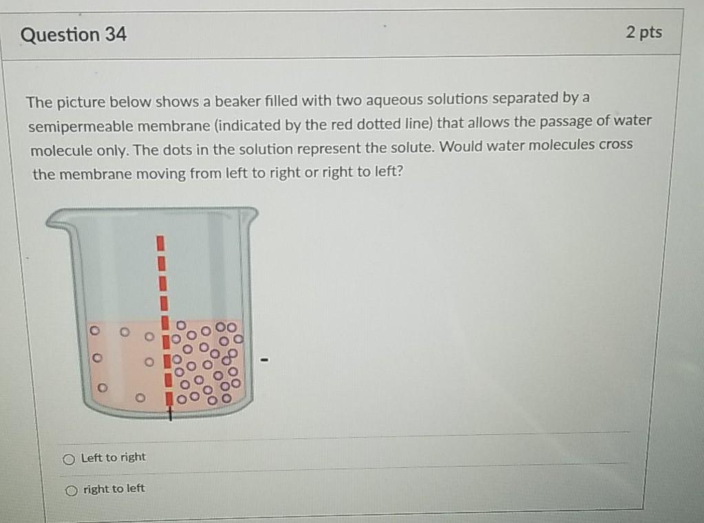 Solved Question 34 2 Pts The Picture Below Shows A Beaker | Chegg.com