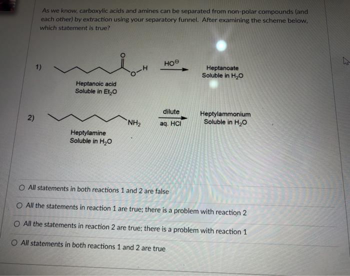 Solved C 1-Bromo-1-phenylethane (see below) reacts with | Chegg.com