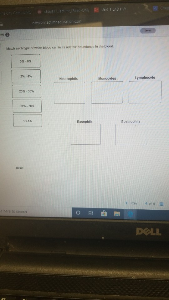 Solved 1 Drag Each Of The Labels Into The Appropriate Chegg