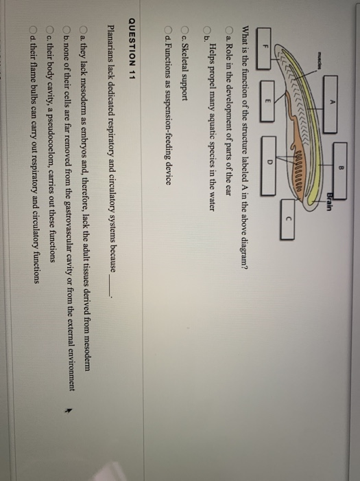 Solved KELL 342904001 с What is the function of the | Chegg.com