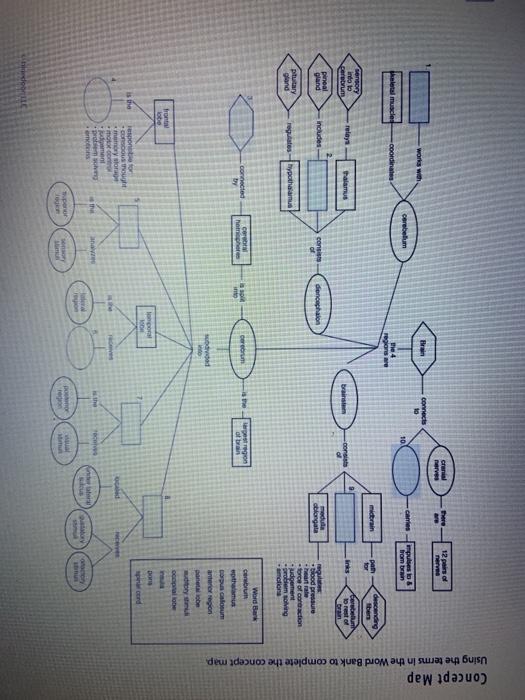 Solved crena nerves There 12 pers of nerve works with fran | Chegg.com