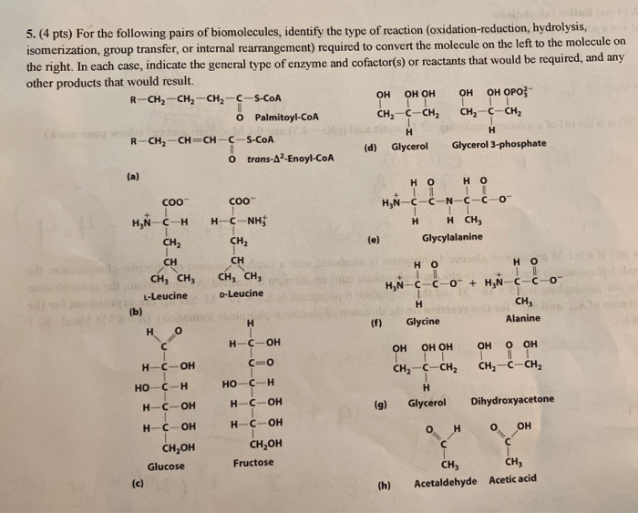 Solved 5.(4 pts) For the following pairs of biomolecules,
