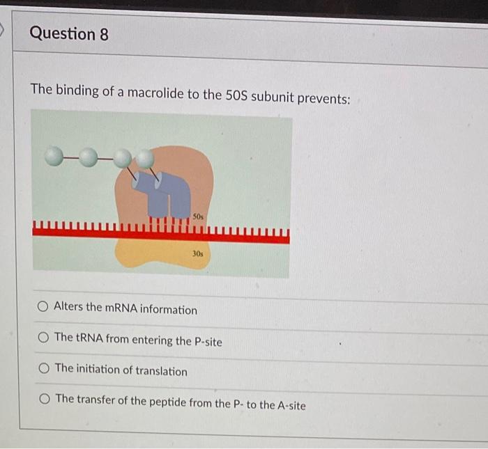 Solved What amino acid sequence would arise from the | Chegg.com