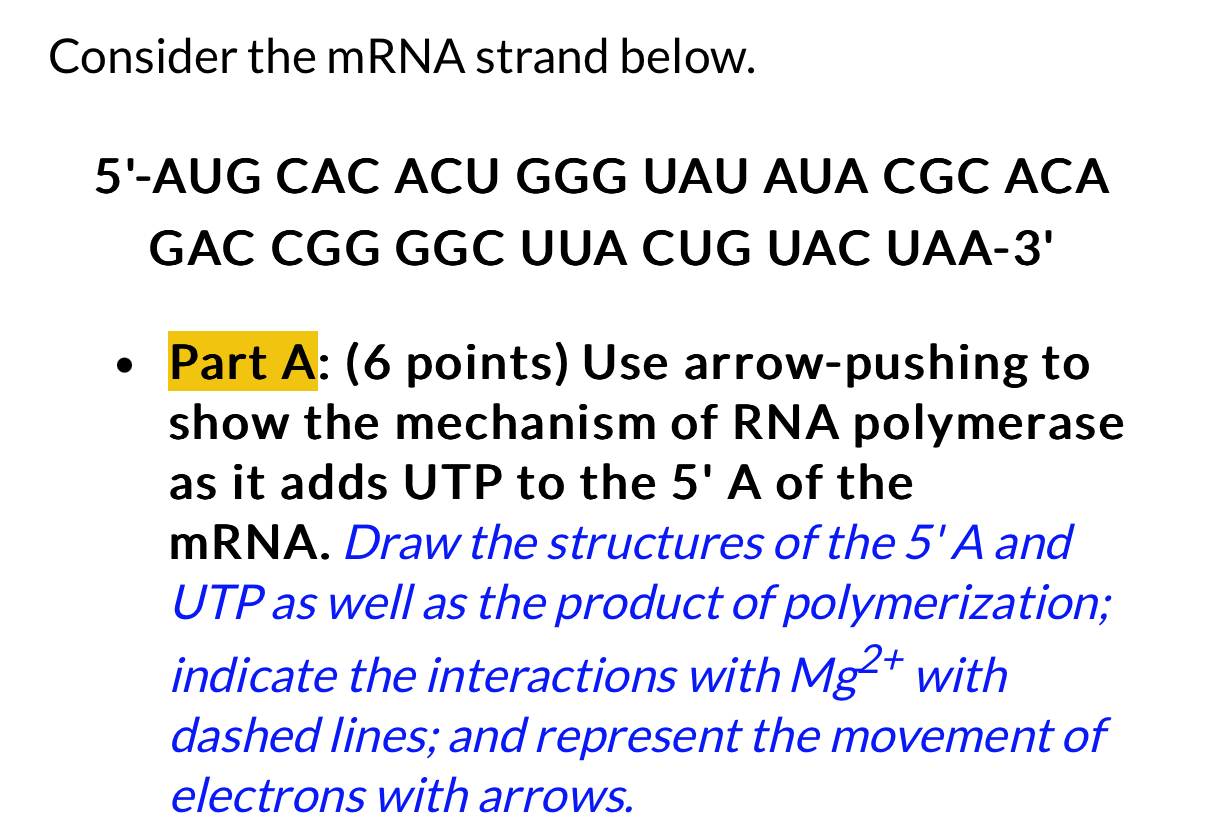 Mrna String Solved Consider the mRNA strand below.5'-AUG CAC ACU GGG UAU | Chegg.com