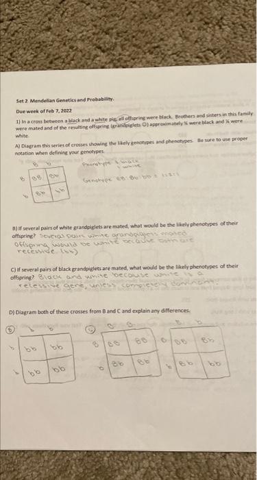 Solved Set 2 Mendelian Genetics And Probability Due Week Of | Chegg.com