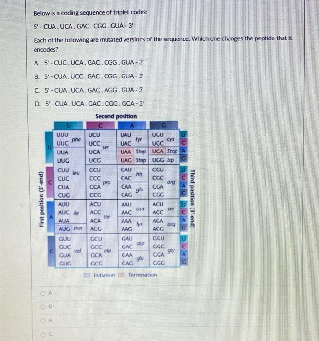 Solved Асс UUG AGA UUA AGG AGU GCA CGA CCA UCA ACA GUA GCC