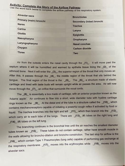 Solved Activity Complete the Story of the Airflow Pathway